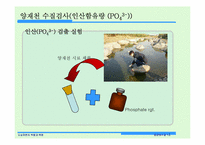 [환경과수질] 도심하천의 역할과 복원 양재천 생태복원사업-12