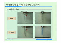 [환경과수질] 도심하천의 역할과 복원 양재천 생태복원사업-13