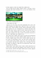 [범죄]조직범죄의 실태분석과 대응방안-7