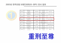 [브랜드관리] 현대자동차 소나타브랜드파워 구축방안-3