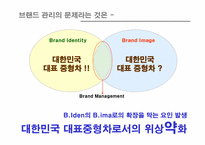 [브랜드관리] 현대자동차 소나타브랜드파워 구축방안-16