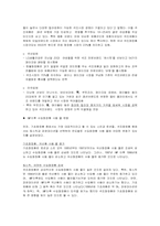 [마케팅] 색조전문브랜드 MAC 의 마케팅전략-12