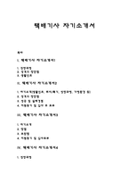 택배기사 자기소개서(택배회사 택배원 자소서)-1