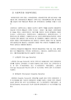 외국의 아동복지 제도-15