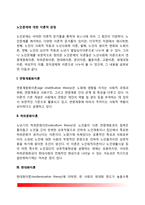 노인문제에 대한 이론적 관점(노년사회학이론- 연령계층화이론, 하위문화이론, 현대화이론, 분리이론, 교환이론, 생애과정이론, 여성주의이론, 정치경제학이론)-2