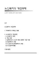 노인복지의 개선과제(노인복지의 전망과 개선방향)-1
