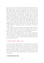국제인적자원 관리의 성공사례와 시사점-10