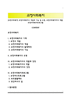 [교정사회복지] 교정사회복지의 개념과 기능 및 유형, 교정사회복지사의 역할, 교정사회복지프로그램-1