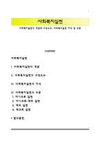 사회복지실천의 개념과 구성요소, 사회복지실천 지식 및 수준-1