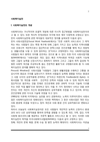 사회복지실천의 개념과 구성요소, 사회복지실천 지식 및 수준-2