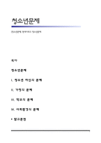 [청소년문제] 현대사회의 청소년문제-1