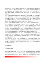 [서구 사회복지 역사] 서양의 사회복지 발달사(사회복지제도 발달과정)-8