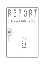 사회과학국내소득양극화 현상의 문제점과 해결방안(에뿔)-1
