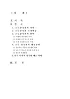 사회과학국내소득양극화 현상의 문제점과 해결방안(에뿔)-2