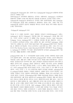 평생교육방법론  1) 평생교육방법에는 다양한 방법들이 있다. 이 방법들을 교육목적과 내용에 따라 어떤 방법들이 있는지 소개하고 평생교육방법 채택시 고려해야 할 사항에 대해 기술해 보십시오.   2) 페다고지와 엔드라고지의 특징을 설명하고 그 차이점을 분석, 기술해 보십시오  3) 성인학습자의 인지적, 정의적, 신체적 특징을 기술하고 그로 인한 학습장애를 극-10