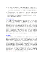 월마트 한국진출 성공요인과 실패요인-6