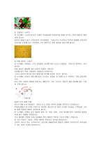 아동 미술교육과 창의성의 관계 및 각 발달 단계별 창의성 향상을 위한 미술지도 방법-3