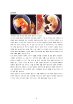 [심리학개론]태내기 발달에 영향을 미치는 요인-4