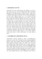 전문직으로서 사회복지(사회복지전문직, 전문직으로서 사회복지실천)-3