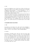 [분야별 사회복지사의 역할과 자격요건] 사회복지전담공무원, 의료사회복지사, 정신보건사회복지사, 청소년지도사와 청소년상담사, 학교사회복지사의 자질과 역할 및 자격요건-8