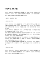 [사회복지프로그램] 사회복지 프로그램의 개념과 분석틀, 사회복지프로그램 기획의 단계 및 필요성, 프로그램관리기법-3
