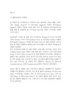[이브생로랑 마케팅연구] 이브생로랑(입생로랑) 브랜드분석과 이브생로랑 SWOT,STP분석및 마케팅전략 사례연구-13