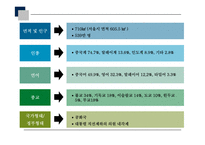 미백크림 화장품 인도시장 진출 전략-3