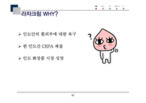 미백크림 화장품 인도시장 진출 전략-13