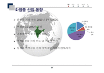 미백크림 화장품 인도시장 진출 전략-18