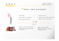 케라시스 브랜드 마케팅 커뮤니케이션활성화 방안-11