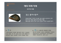 외래종 침입을 막기 위한 밸러스트 수 관리방안-14