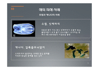 외래종 침입을 막기 위한 밸러스트 수 관리방안-15