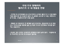 외래종 침입을 막기 위한 밸러스트 수 관리방안-18