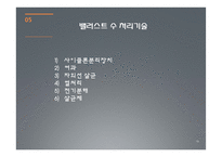 외래종 침입을 막기 위한 밸러스트 수 관리방안-19
