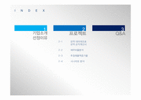 한국콜마 재무계획서(~2013)-2
