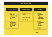 공공조직의 BSC 도입 사례의 비교 분석-13