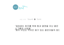 SONY 글로벌 진출 전략-4