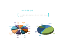 SONY 글로벌 진출 전략-5