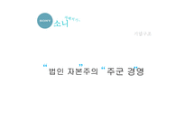 SONY 글로벌 진출 전략-8