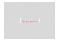 SONY 글로벌 진출 전략-11