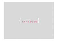 SONY 글로벌 진출 전략-16