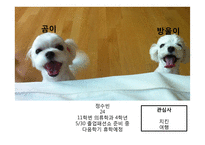스카이프 Skype 환경분석 및 전략 제안-20
