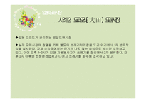 일본 도매시장 분석-13