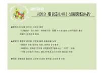 일본 도매시장 분석-14