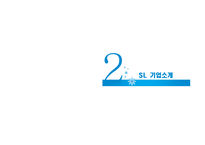 에스엘그룹 조직 분석-ERG 이론 중심으로-6