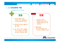 에스엘그룹 조직 분석-ERG 이론 중심으로-12