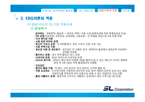 에스엘그룹 조직 분석-ERG 이론 중심으로-13