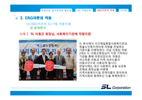 에스엘그룹 조직 분석-ERG 이론 중심으로-15