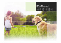 iPetBrand 마케팅 제안-1