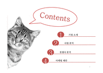 iPetBrand 마케팅 제안-2